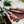 Garden Multi Tool