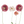 Pressed Flower Collection - Trio