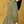 Studio Midi Shirt Dress - Khaki